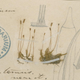 The destroyed sample would have looked similar to this Natural History Museum collection (Image: Natural History Museum)